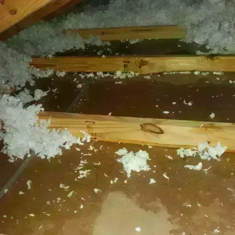 Attic Water Damage in Elgin, IL