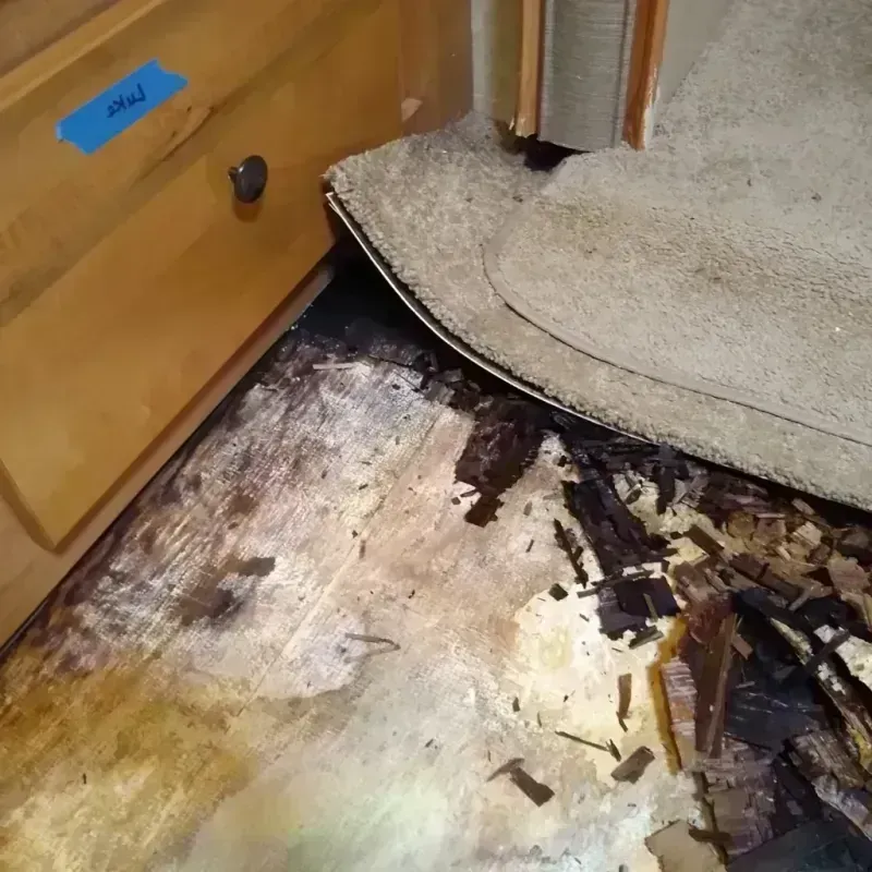 Wood Floor Water Damage in Elgin, IL